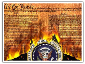 Constitution on fire